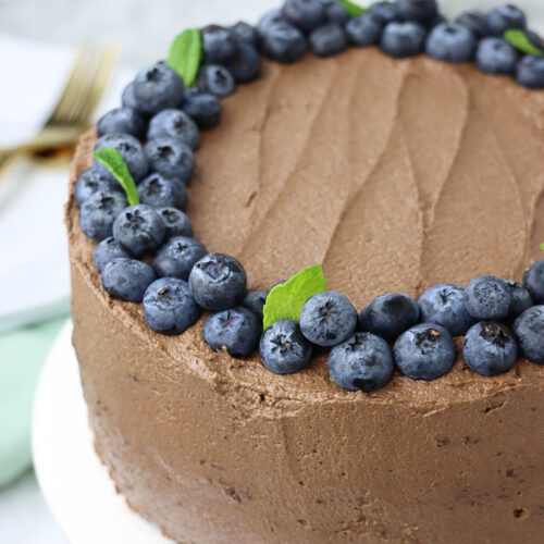 two layer chocolate cake with fresh blueberries and mint on top.