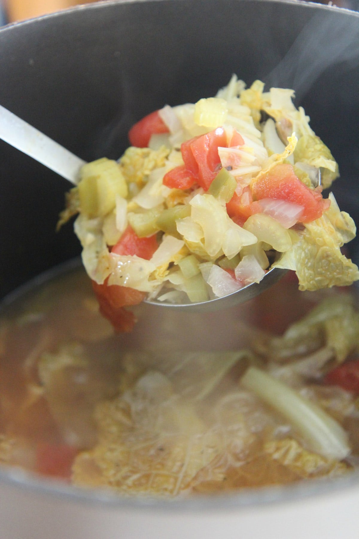 a ladle filled with cabbage soup over a pot filled with soup. 