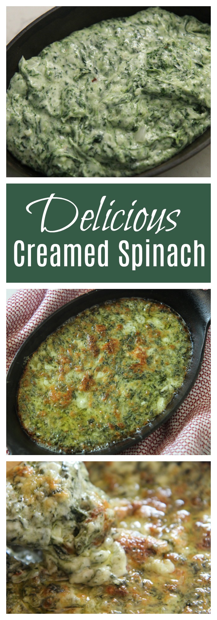 Delicious and easy creamed spinach dip recipe.