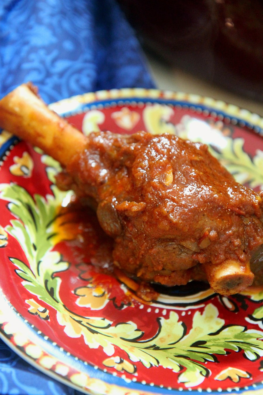 an up close shot of a lamb shank on a small red and green plate with a blue towel in the background. 