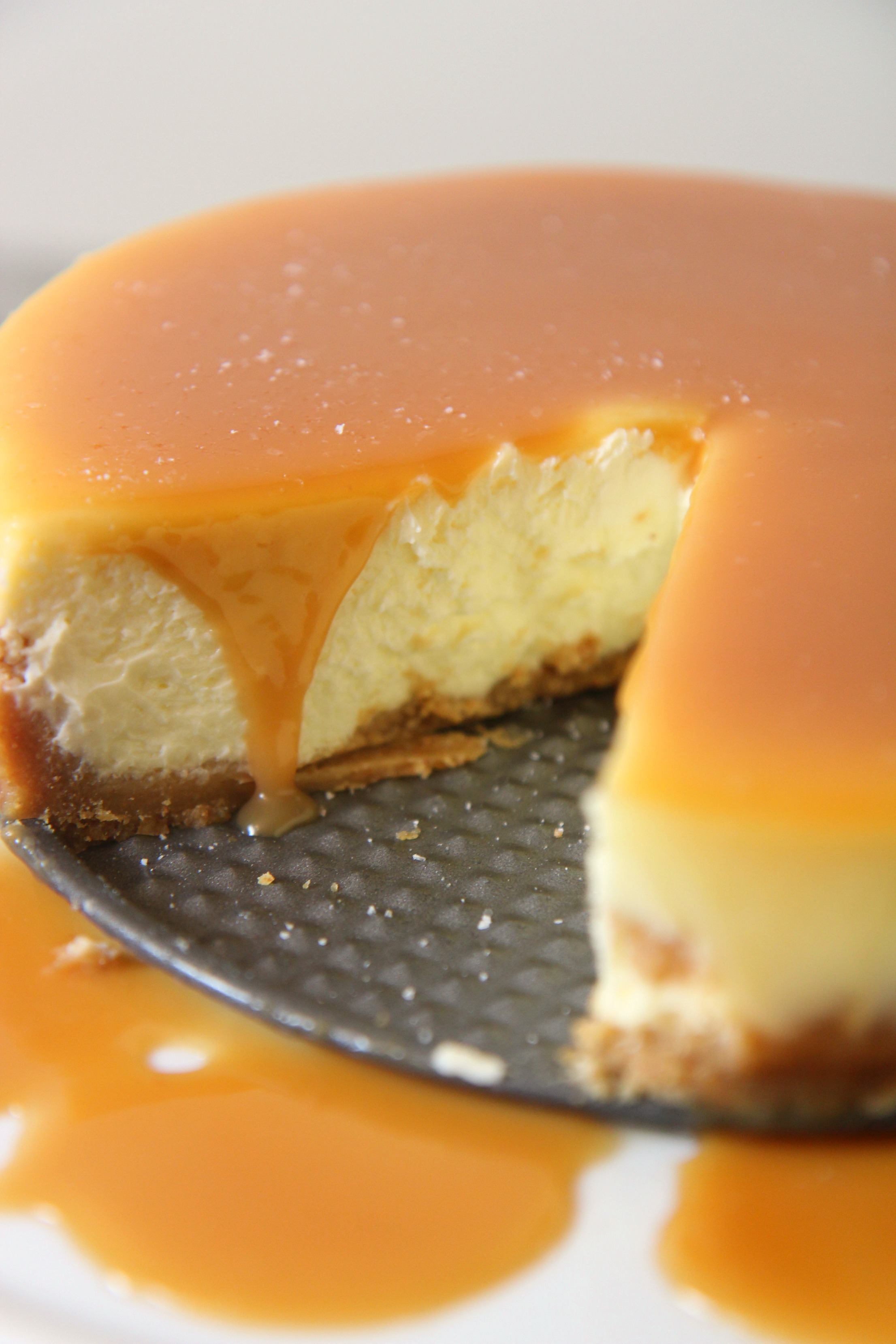 salted caramel cheesecake on a springform pan 