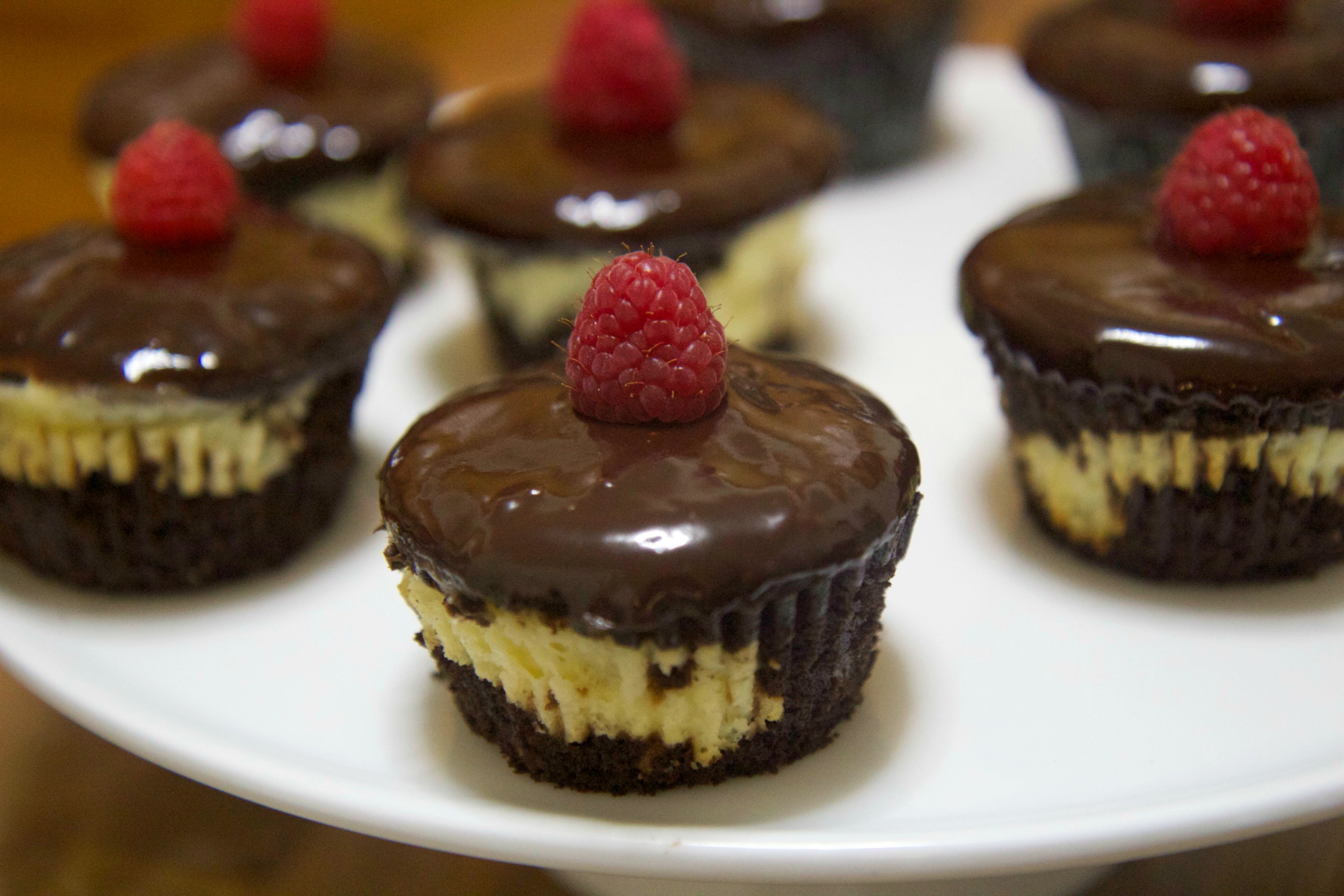 Chocolate cheesecake cupcakes topped with a milk chocolate ganache and raspberries