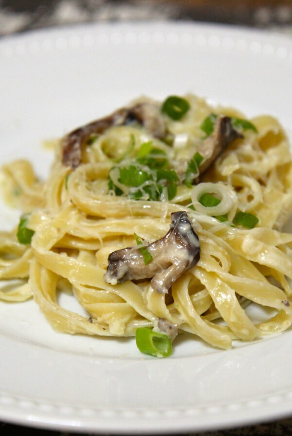 mushroom alfredo and green onions on a white plate