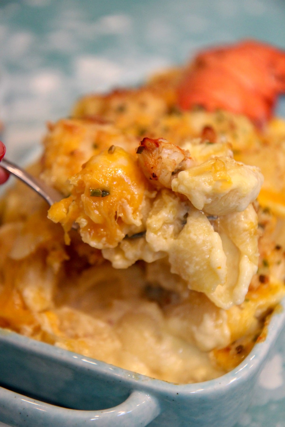 a spoonful of lobster mac and cheese