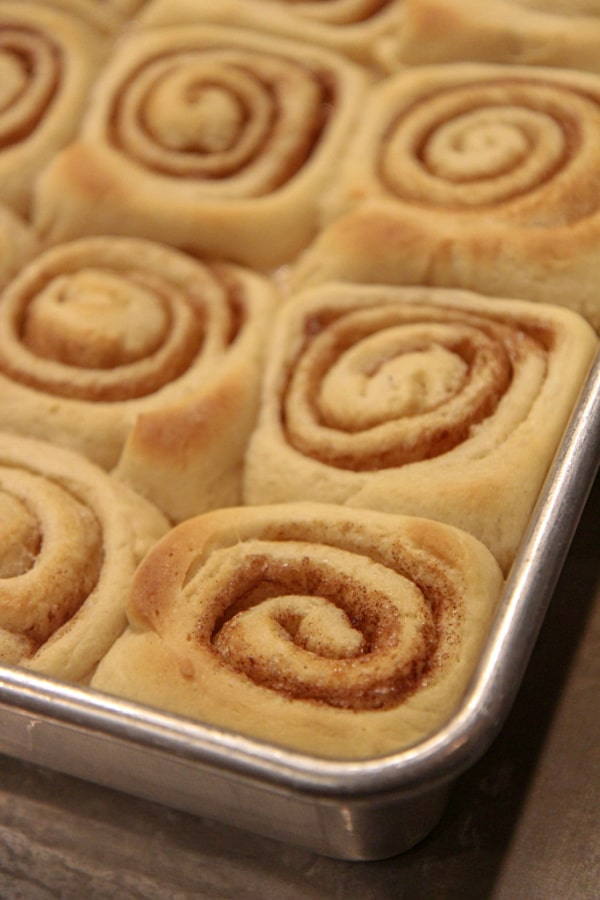 Cinnamon rolls in a pan
