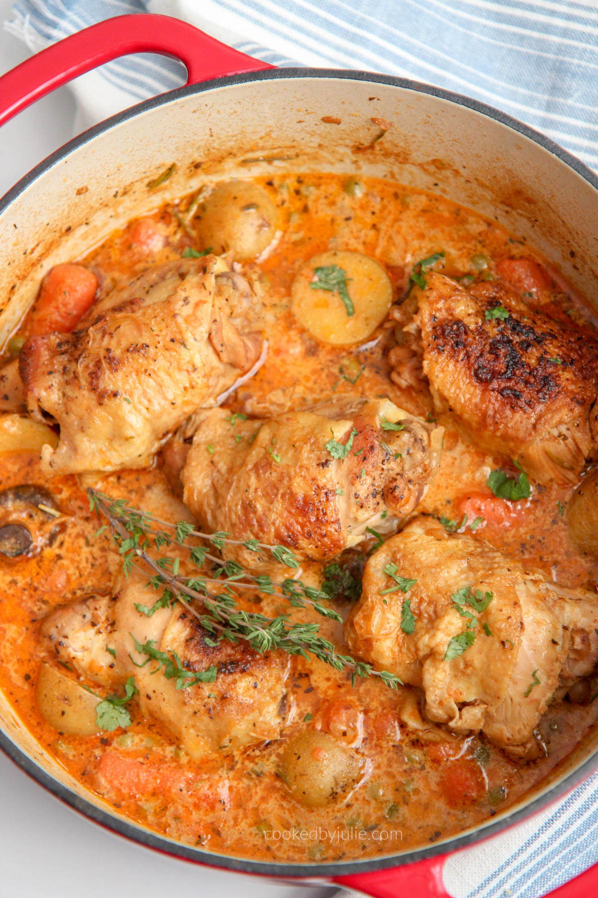 chicken stew in a dutch oven