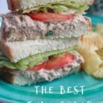 tuna salad sandwiches with lettuce and tomato on a green plate