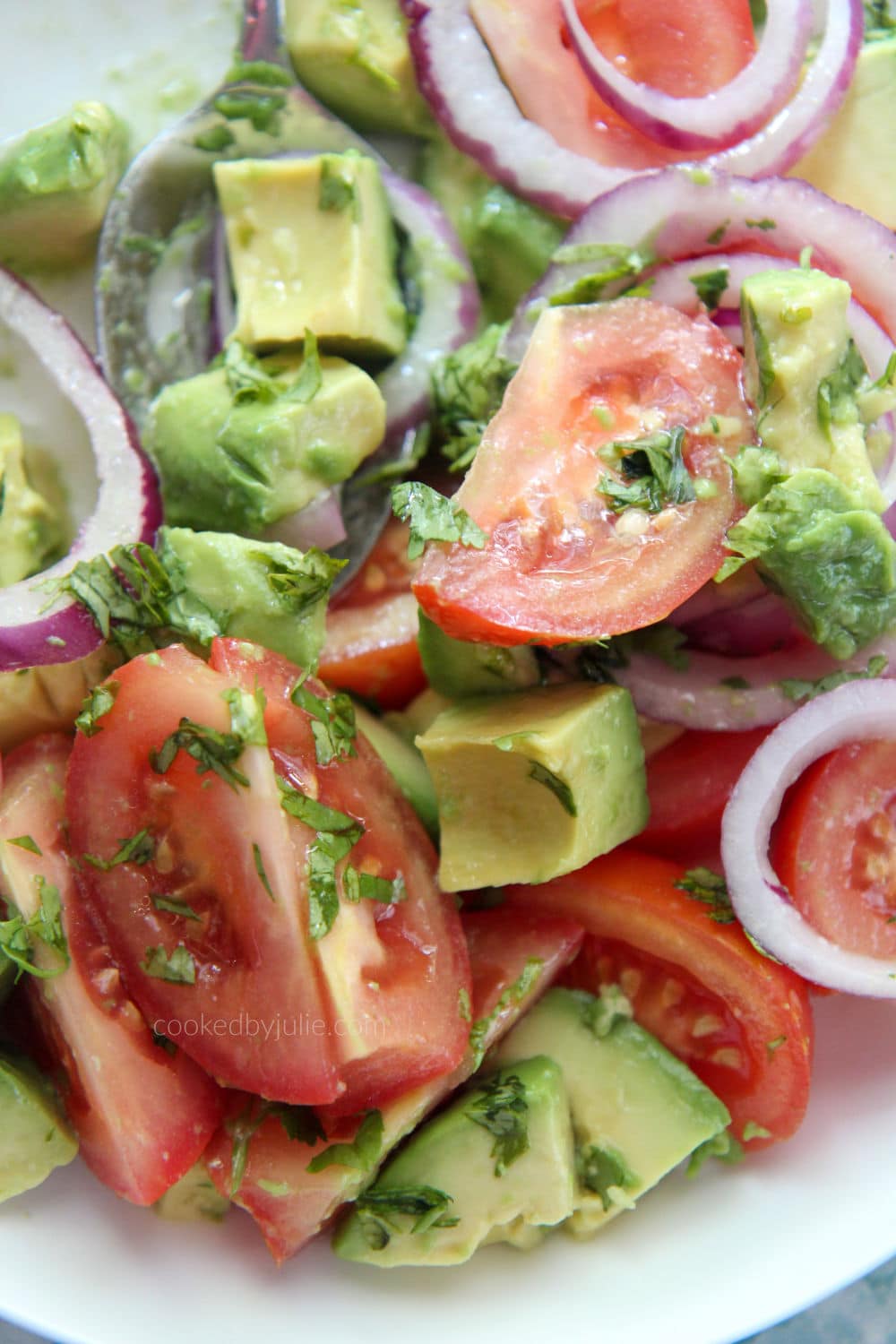 tomatoes, avocados, cilantro, and onions, up close 