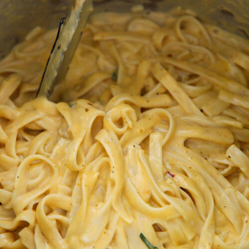 pumpkin fettuccine alfredo up close in the instant pot.