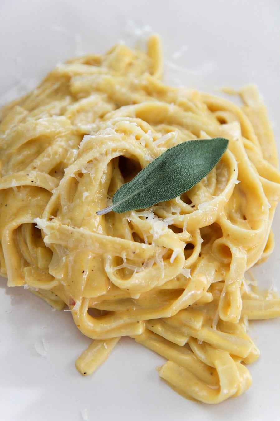 pumpkin fettuccine alfredo on a white plate with fresh sage on top. 