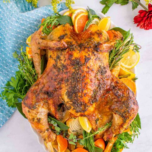 a cooked whole turkey on a platter decorated with orange slices and herbs.
