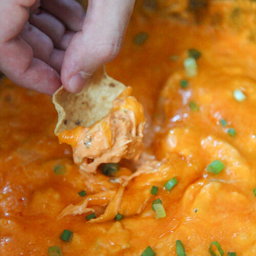 a tortilla dipped in buffalo chicken dip.