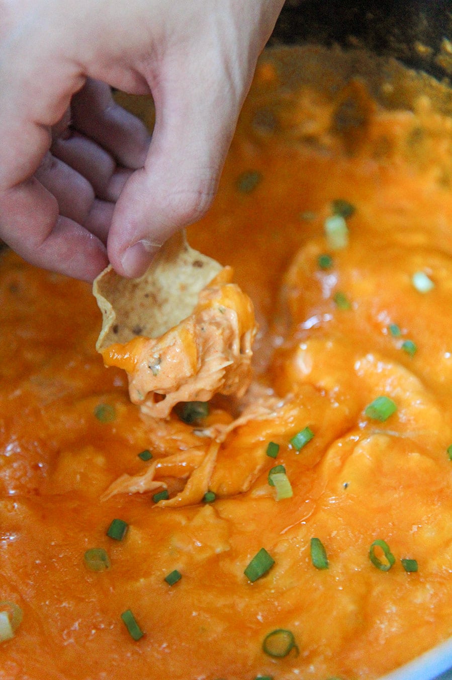 a tortilla dipped in buffalo chicken dip.