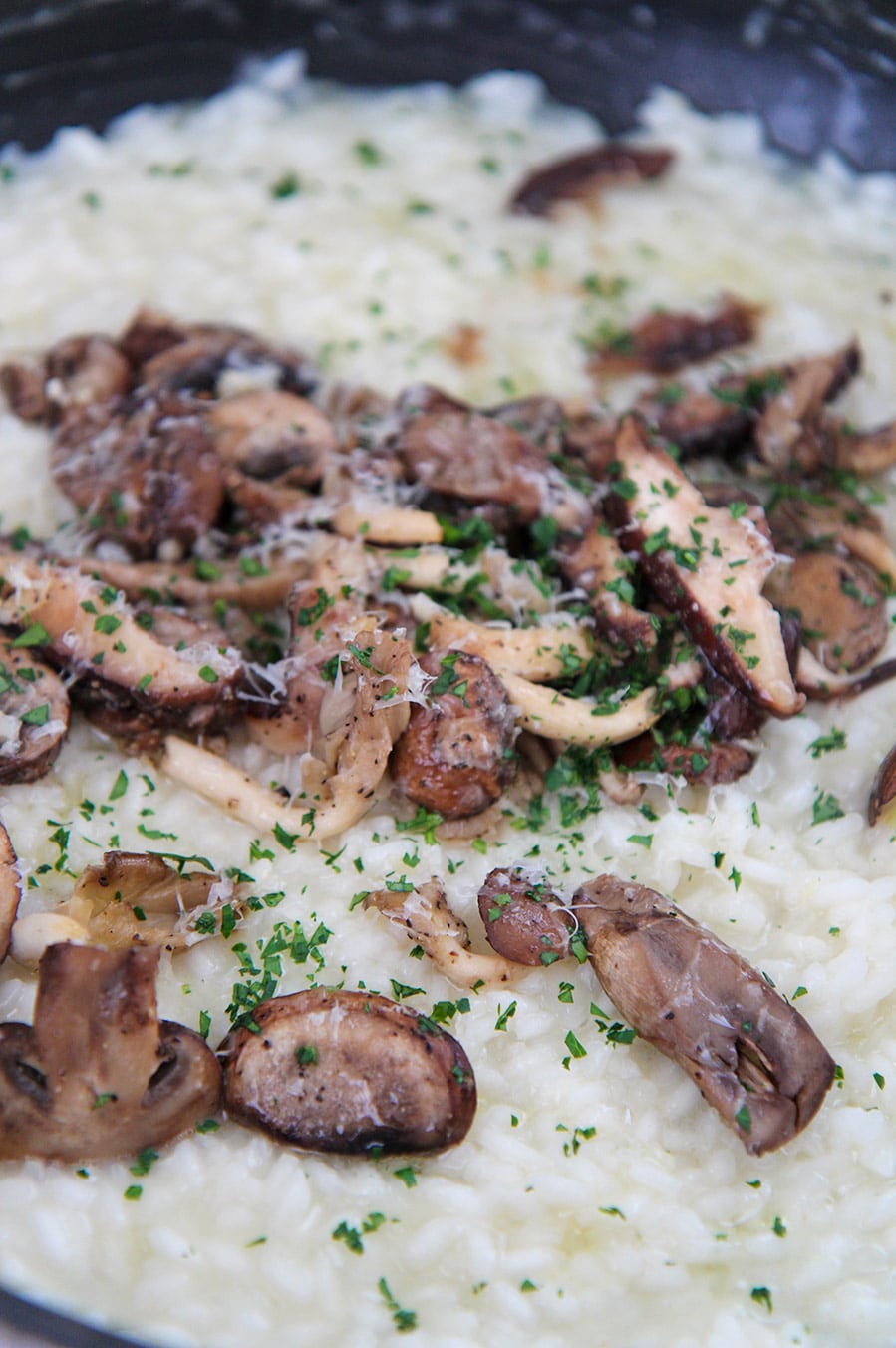 mushroom risotto up close. 