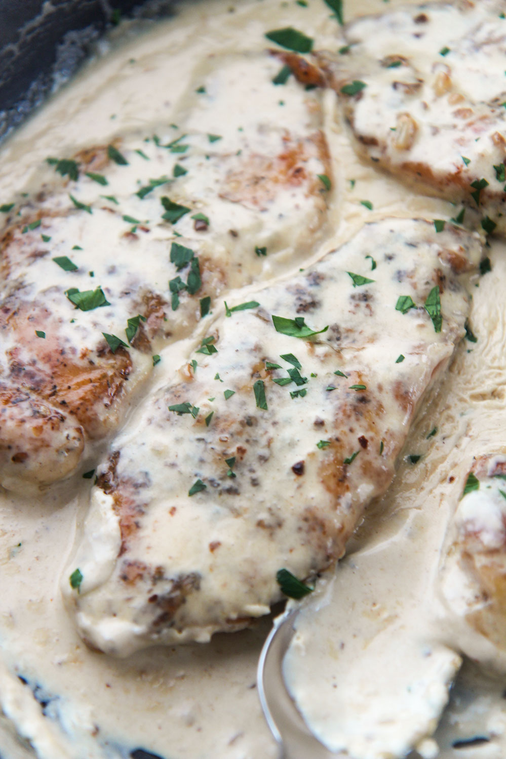 two creamy garlic parmesan chicken breasts with parsley on top.