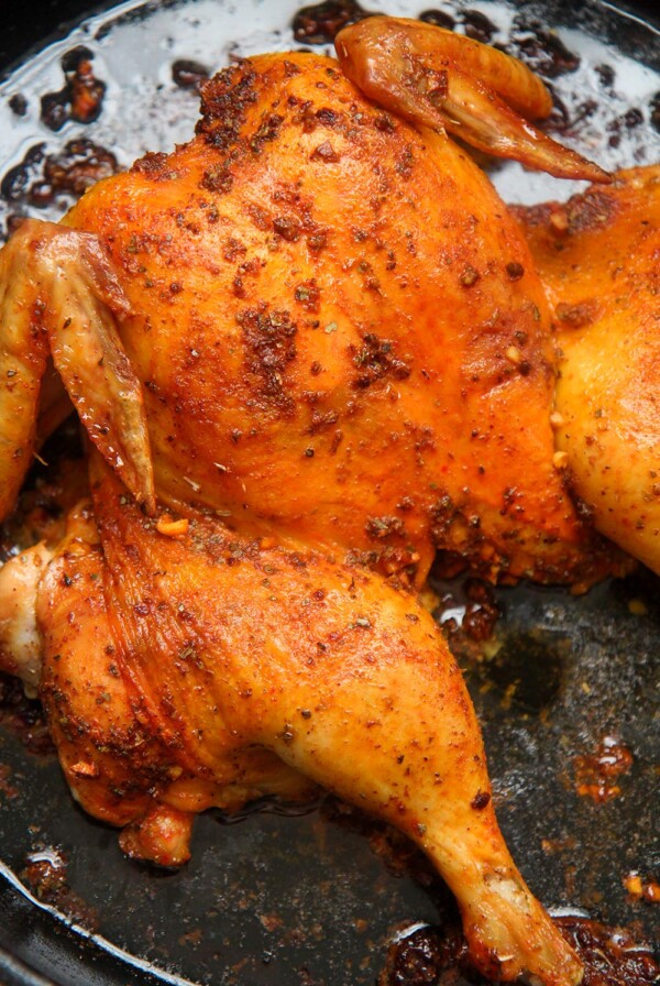 cooked whole chicken up close.