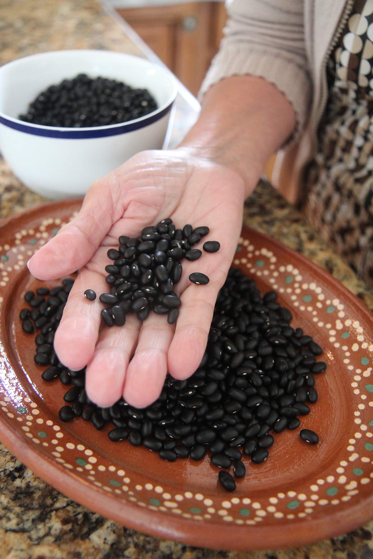 a hand holding dried black beans.