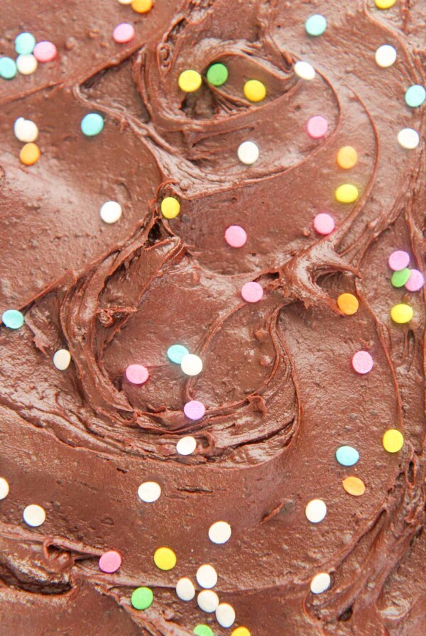 chocolate buttercream frosting with sprinkles up close