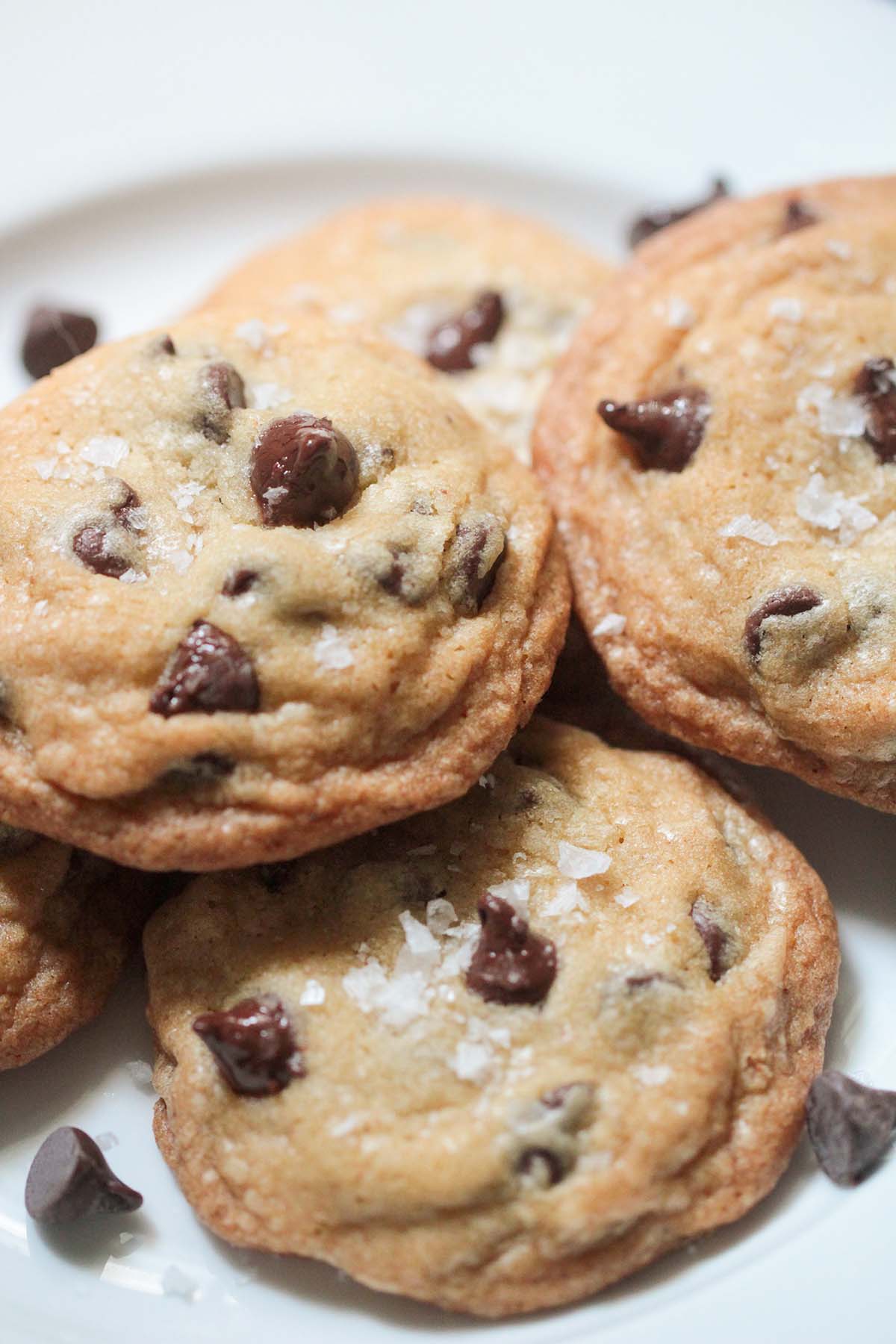 baked brown butter chocolate chip cookies up close.