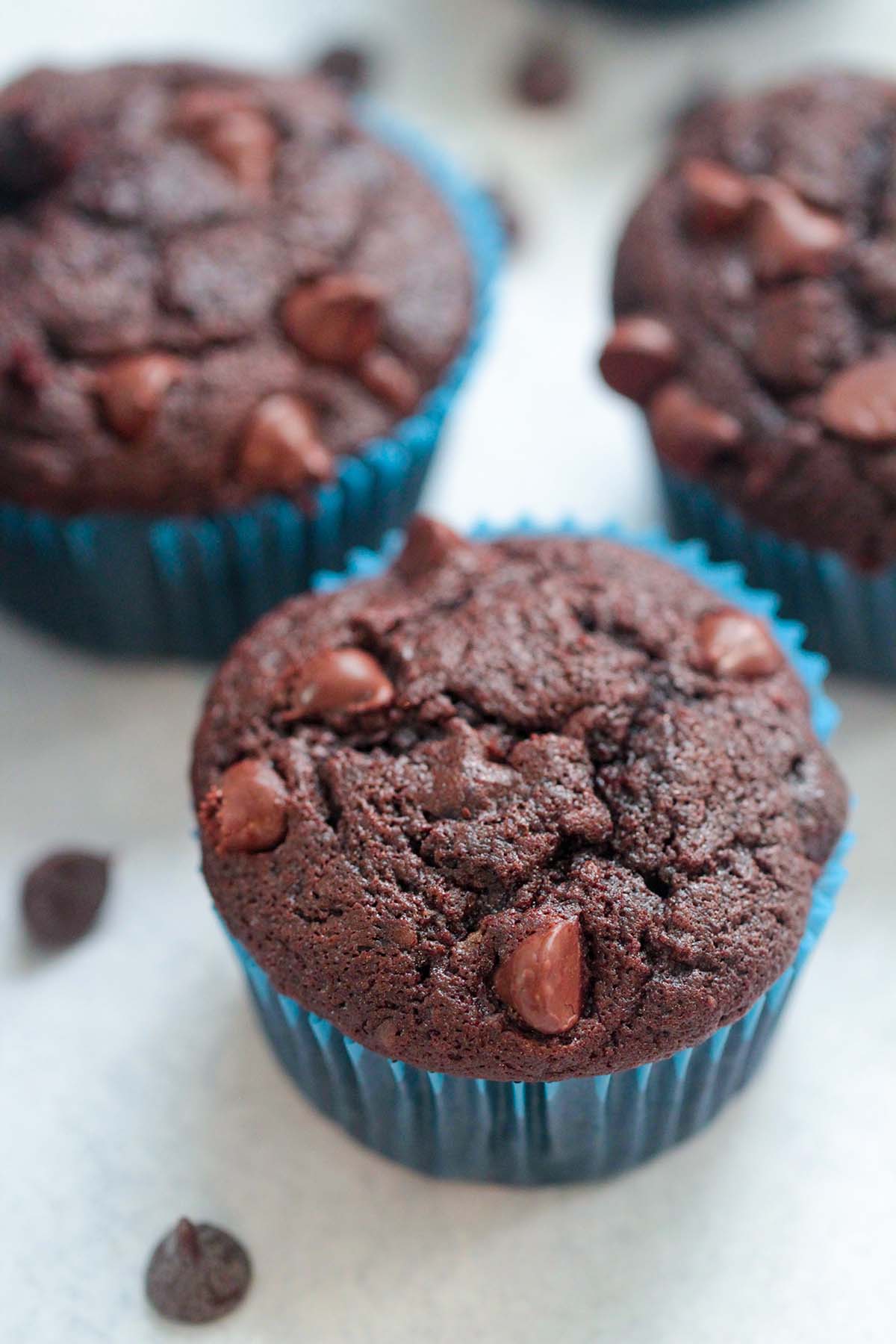 chocolate muffin up close. 