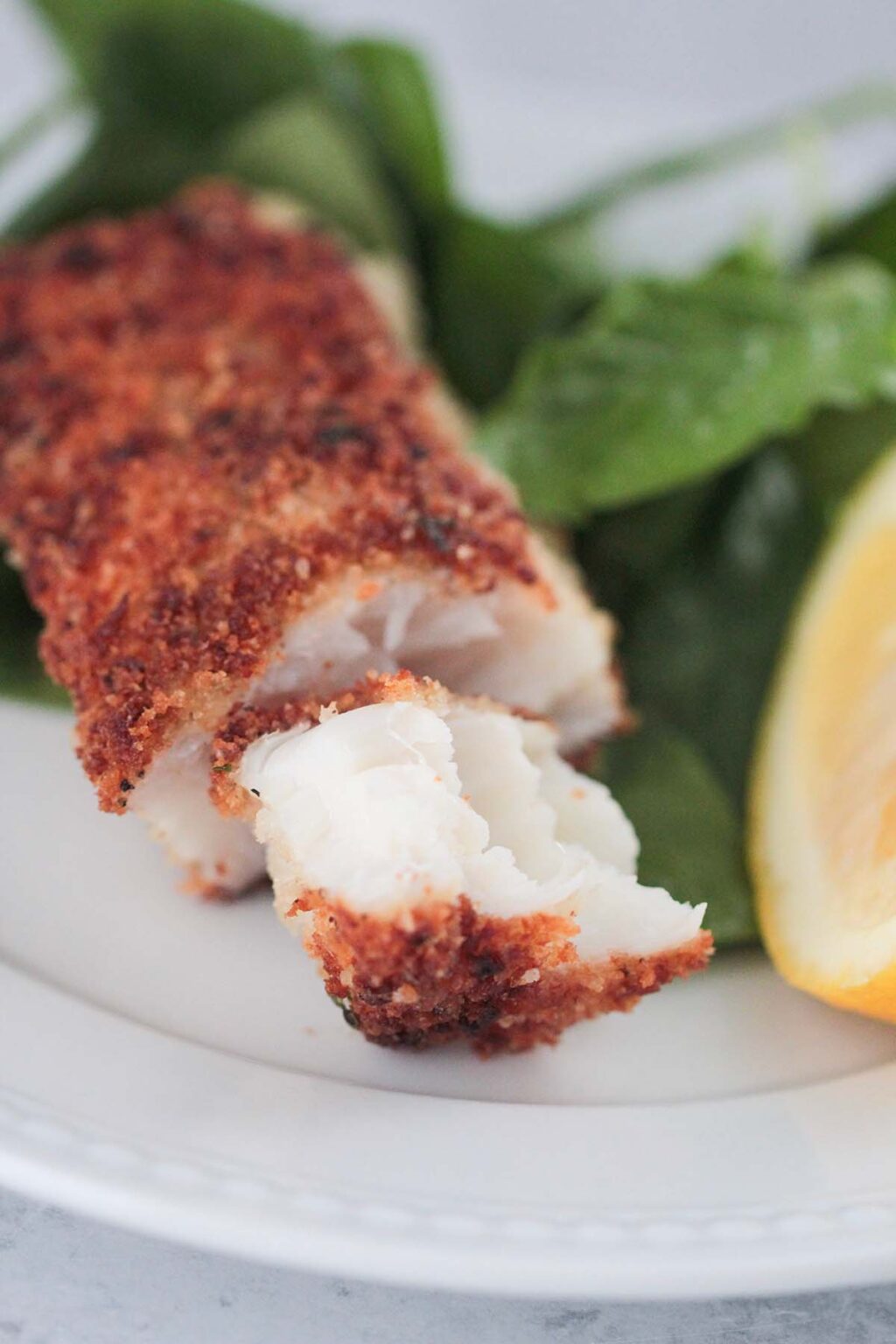 PanSeared Parmesan Crusted Halibut Cooked by Julie