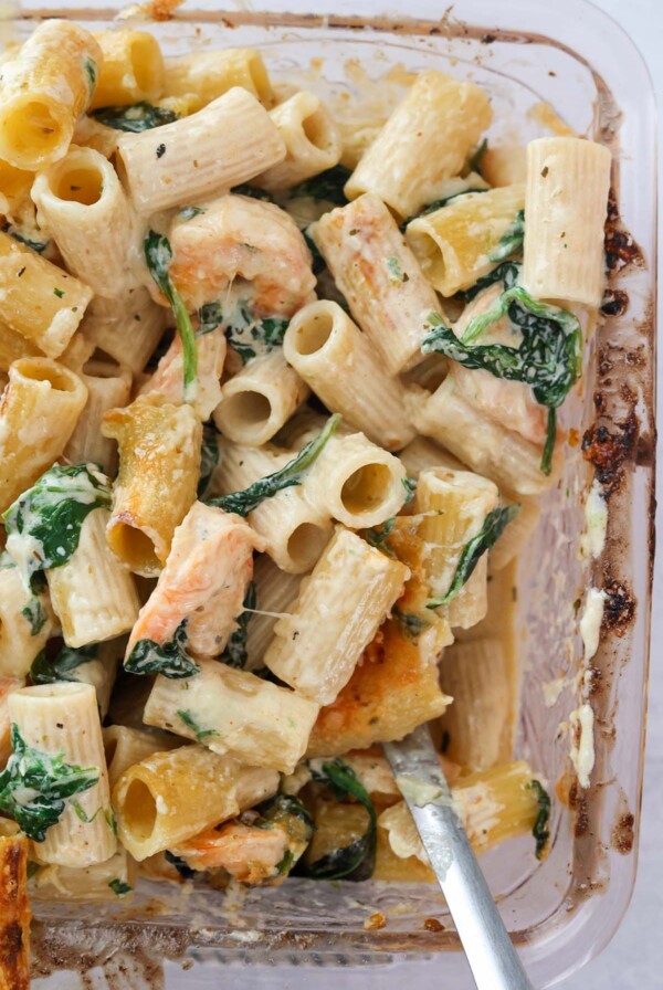 shrimp alfredo bake up close.