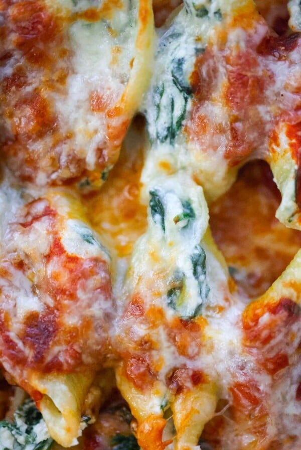 spinach and ricotta stuffed shells up close.