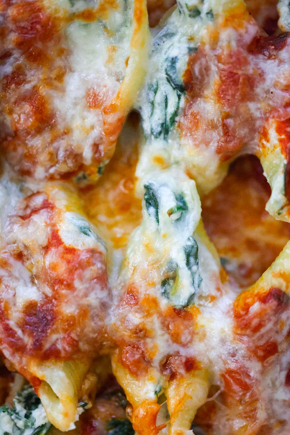spinach and ricotta stuffed shells up close. 