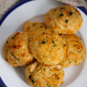 six red lobster cheddar biscuits on a white and blue plate.