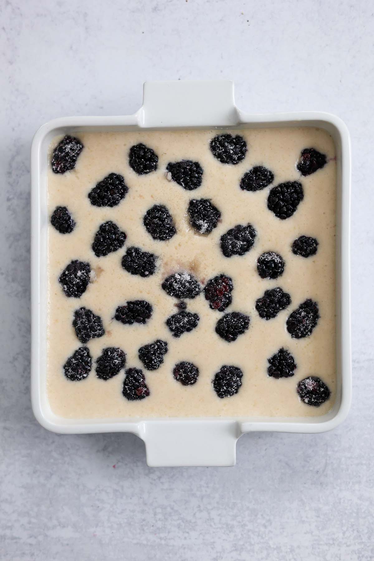 cobbler batter and fresh blackberries in a white 9x9 baking dish. 