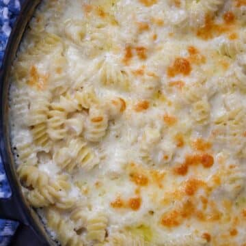 baked white cheddar mac and cheese up close.