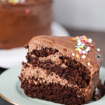 A two layer slice of chocolate cake with frosting and sprinkles.