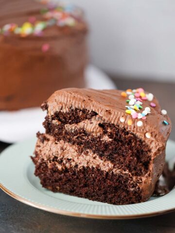 A two layer slice of chocolate cake with frosting and sprinkles.