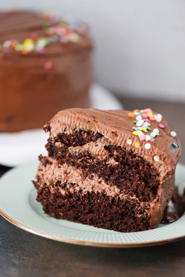 A two layer slice of chocolate cake with frosting and sprinkles.