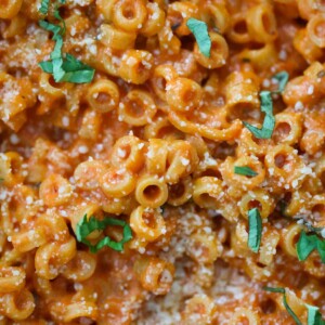 creamy spaghettios with parmesan cheese and basil on top.