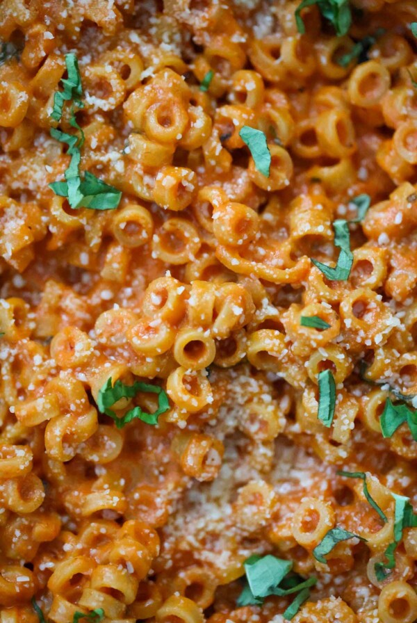 creamy spaghettios with parmesan cheese and basil on top.