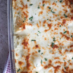 white chicken enchiladas in a 9x13 baking dish.