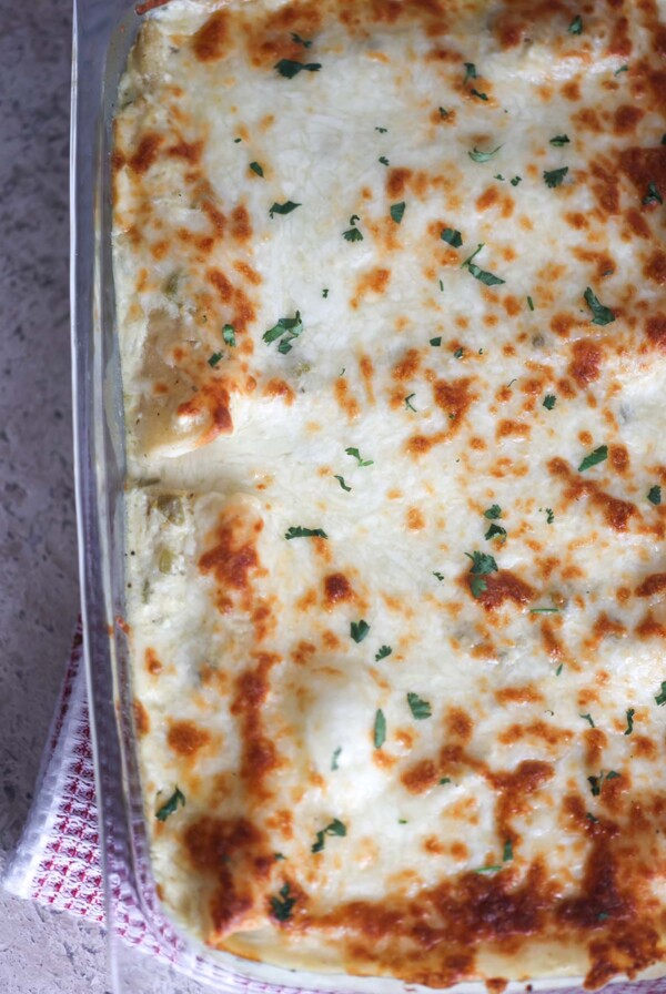 white chicken enchiladas in a 9x13 baking dish.