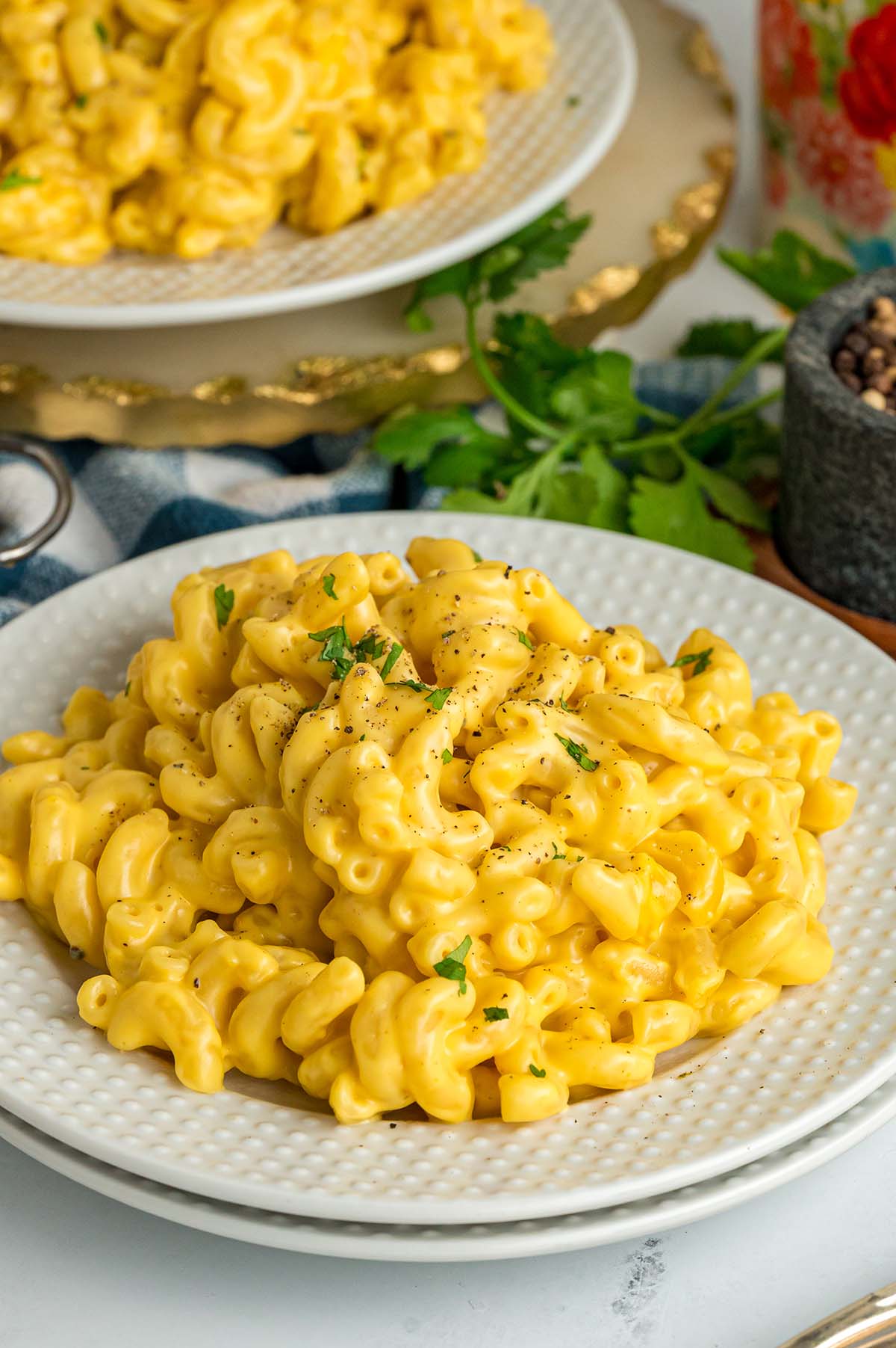 Mac and cheese on a white plate. 