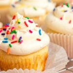 Vanilla cupcake with white frosting and rainbow sprinkles.