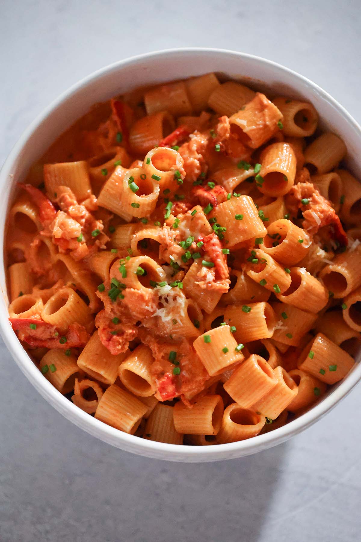 creamy lobster pasta up close.