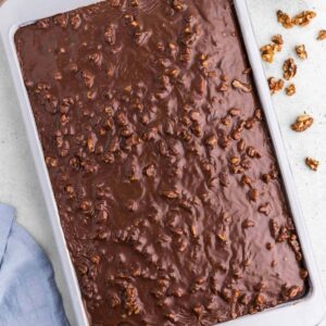A 9x13 chocolate cake with frosting and walnuts.