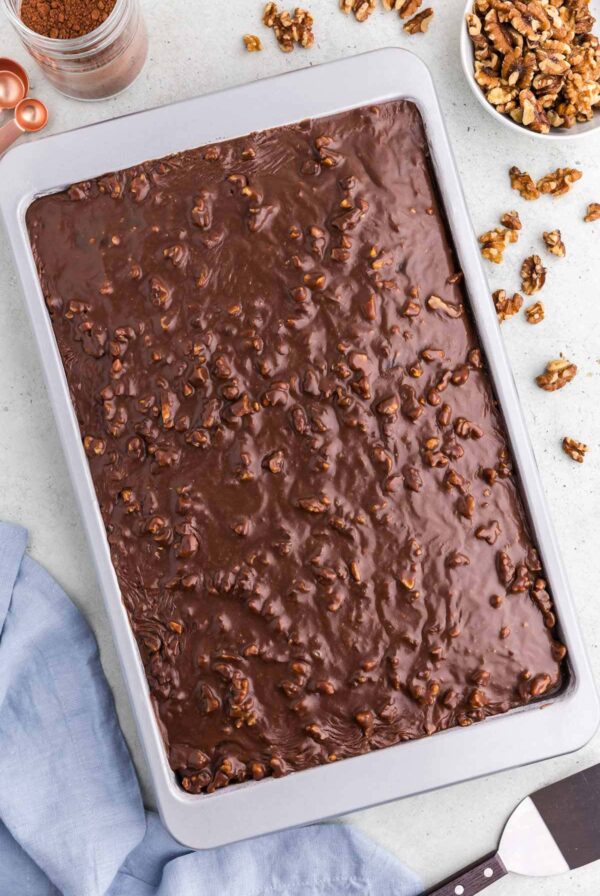 A 9x13 chocolate cake with frosting and walnuts.