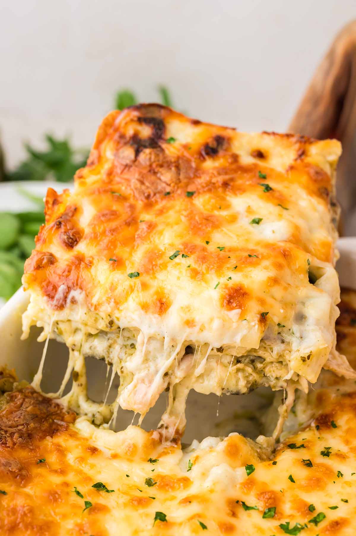 Cheesy slice of white chicken lasagna being lifted from the baking dish.