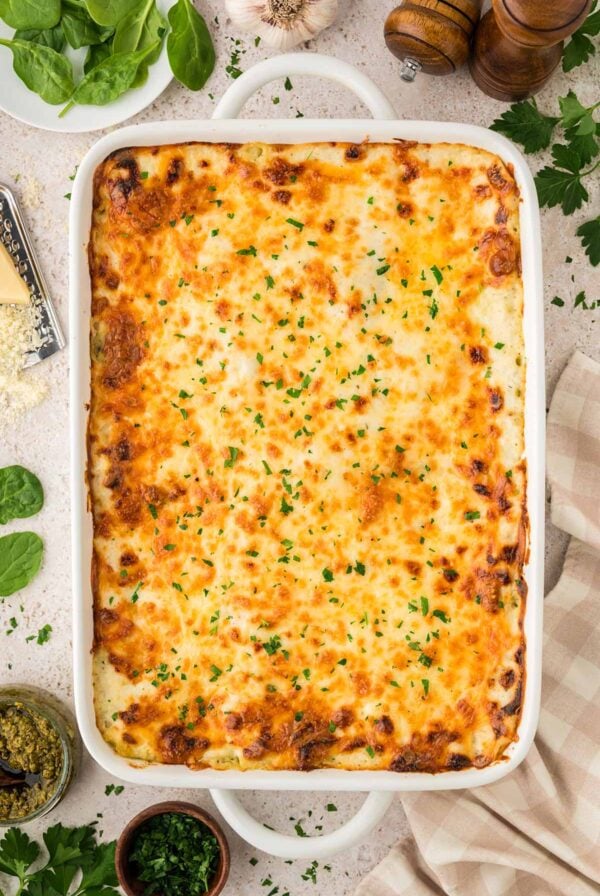 Baked white chicken lasagna with fresh parsley on top.