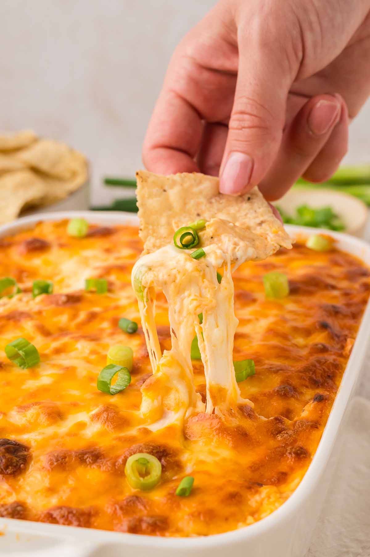 a hand holding a tortilla chip with chicken dip.
