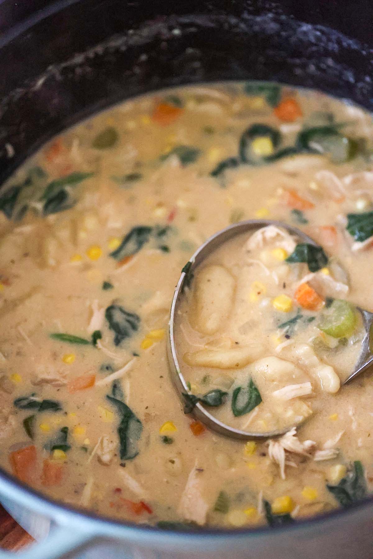 soup in a pot up close.