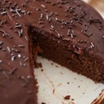 A 9-inch chocolate fudge cake with chocolate sprinkles on top.