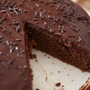 A 9-inch chocolate fudge cake with chocolate sprinkles on top.